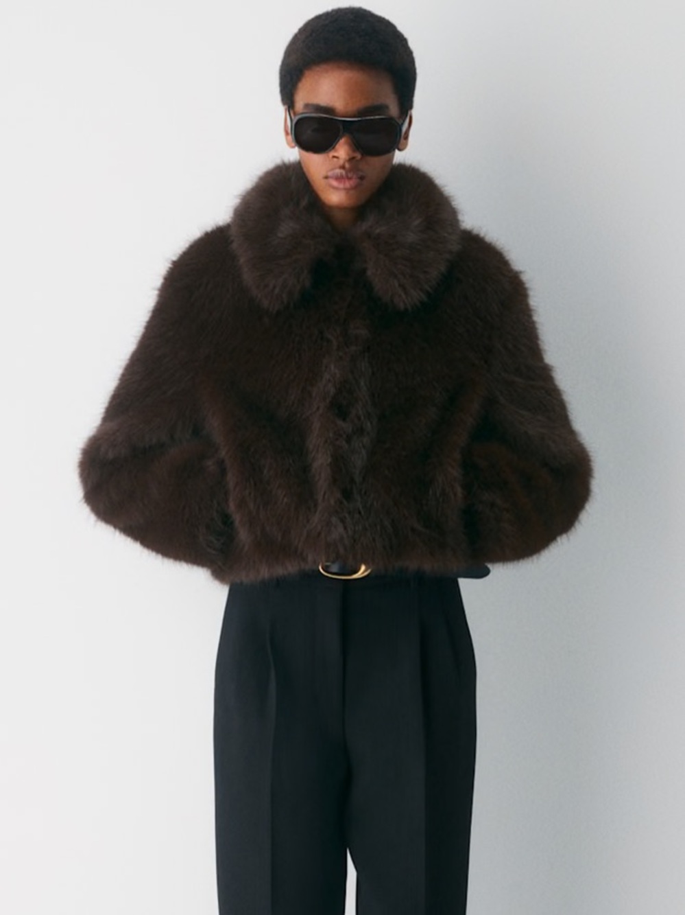 Aritzia Chamonix Coat - Arctic Faux Fur